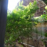 Kirayə (günlük) 2 otaqlı Həyət evi/villa Gəncə 15