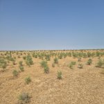 Продажа Участок, пос. Бинагяди, Бинагадинский р-н район 9