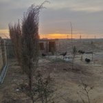 Satılır Torpaq, Saray, Abşeron rayonu 6
