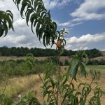 Продажа Участок Губа 5
