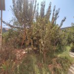 Satılır 3 otaqlı Həyət evi/villa, Masazır, Abşeron rayonu 3