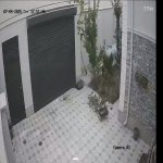 Satılır 4 otaqlı Həyət evi/villa, Buzovna, Xəzər rayonu 18
