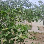 Продажа 3 комнат Дома/Виллы, пос. Говсан, Сураханы район 13