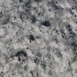 Satılır Torpaq, Goradil, Abşeron rayonu 7