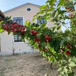 Satılır 4 otaqlı Bağ evi, Buzovna, Xəzər rayonu 2