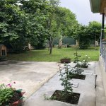 Kirayə (günlük) 2 otaqlı Həyət evi/villa Qəbələ 22