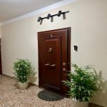 Аренда 2 комнатная Новостройка, м. Гянджлик метро, Наримановский р-н район 14