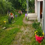Kirayə (günlük) 3 otaqlı Bağ evi İsmayıllı 8