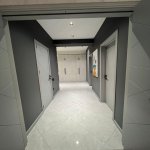 Kirayə (aylıq) 3 otaqlı Yeni Tikili, Gənclik metrosu, Tibb Universiteti, Nəsimi rayonu 3