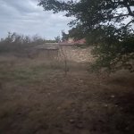 Satılır Torpaq, Novxanı, Abşeron rayonu 12