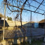 Satılır 4 otaqlı Həyət evi/villa Mingəçevir 10