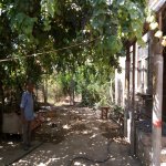 Satılır 3 otaqlı Bağ evi, Binə qəs., Xəzər rayonu 2