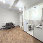 Kirayə (aylıq) 1 otaqlı Köhnə Tikili, 28 May metrosu, Nəsimi rayonu 5
