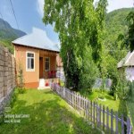 Kirayə (günlük) 2 otaqlı Həyət evi/villa Qəbələ 8