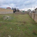 Satılır Torpaq, Goradil, Abşeron rayonu 8