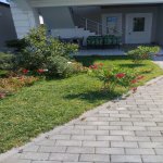Kirayə (aylıq) 3 otaqlı Bağ evi, Mərdəkan, Xəzər rayonu 2