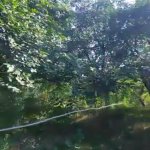 Продажа 4 комнатная Дома/Виллы Горанбой 3