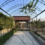 Продажа 5 комнат Дома/Виллы, м. Короглу метро, пос. Маштага, Сабунчу район 7