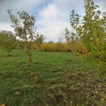 Satılır 3 otaqlı Bağ evi Şabran 7