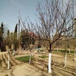 Satılır 6 otaqlı Həyət evi/villa, Buzovna, Xəzər rayonu 6