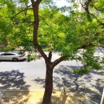 Продажа 2 комнатная Вторичка, Ясамал район 13