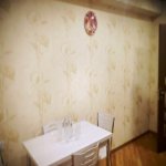 Kirayə (aylıq) 3 otaqlı Yeni Tikili, Nəriman Nərimanov metrosu, Nərimanov rayonu 7