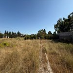 Satılır Torpaq, Mərdəkan, Xəzər rayonu 2