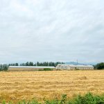 Продажа Объект Хачмаз 5