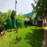Kirayə (günlük) 4 otaqlı Həyət evi/villa Zaqatala 24