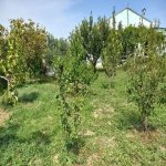 Satılır 3 otaqlı Bağ evi, Yaşma bağları rayonu 1