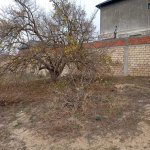 Продажа Участок, пос. Билгях, Сабунчу район 6