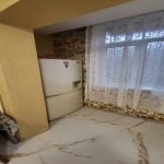 Kirayə (aylıq) 4 otaqlı Yeni Tikili, Nəsimi metrosu, Binəqədi rayonu 9