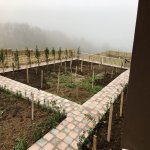 Kirayə (günlük) İstirahət Mərkəzləri Şamaxı 3