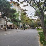 Kirayə (aylıq) 4 otaqlı Köhnə Tikili, Nəriman Nərimanov metrosu, Heydər Əliyev Mərkəzi, Nərimanov rayonu 14