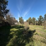 Продажа Участок, Шювалан, Хязяр район 8