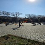 Kirayə (aylıq) 3 otaqlı Köhnə Tikili, 28 May metrosu, Nəsimi rayonu 1