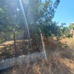 Satılır Torpaq, Goradil, Abşeron rayonu 6