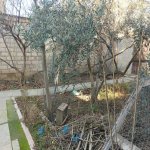 Kirayə (aylıq) 1 otaqlı Həyət evi/villa, Avtovağzal metrosu, Biləcəri qəs., Binəqədi rayonu 8