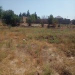 Продажа Участок, Туркян, Хязяр район 2