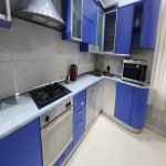 Kirayə (aylıq) 5 otaqlı Yeni Tikili, Gənclik metrosu, Nərimanov rayonu 10