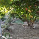 Satılır 5 otaqlı Həyət evi/villa, Qobustan qəs., Qaradağ rayonu 10