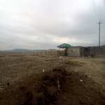 Satılır Obyekt, Pereküşkül, Abşeron rayonu 19