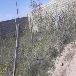 Satılır 2 otaqlı Bağ evi, Sabunçu rayonu 4
