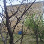 Satılır 6 otaqlı Bağ evi, Saray, Abşeron rayonu 30