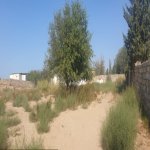Satılır Torpaq, Goradil, Abşeron rayonu 2