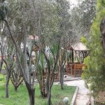 Kirayə (aylıq) Mini otel / Xostel, Lökbatan qəs., Qaradağ rayonu 24