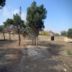 Satılır Torpaq, Qara Qarayev metrosu, Sabunçu rayonu 5