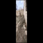 Satılır 4 otaqlı Həyət evi/villa, Mehdiabad, Abşeron rayonu 15