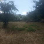Satılır Torpaq Qusar 7