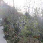 Satılır 8 otaqlı Həyət evi/villa, Bakıxanov qəs., Sabunçu rayonu 42